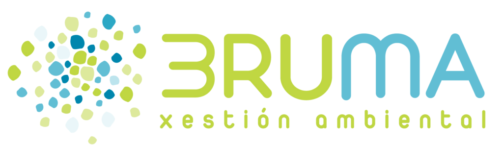 Logo_Bruma_Verde